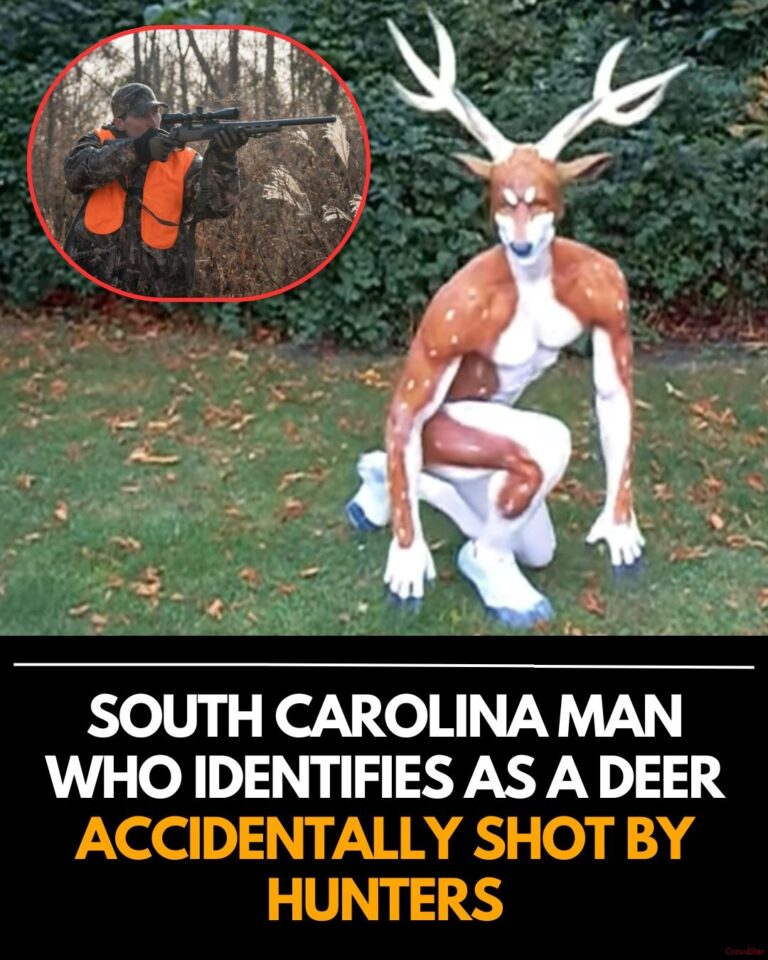 A bizarre incident in South Carolina drew national attention after a man wearing a full-body deer costume was reportedly mistaken for wildlife by hunters in a wooded area. The shooting occurred during active hunting conditions.
