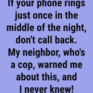 IF YOUR PHONE RINGS JUST ONCE AT 3 A.M. AND THEN STOPS — DO NOT, UNDER ANY CIRCUMSTANCES, CALL BACK