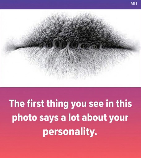 In this picture, what do you notice first? An Enjoyable Look at Personality and Perception