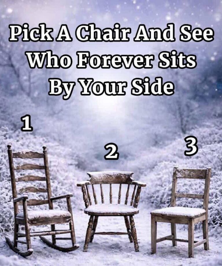 Choose a Chair and See Who Stays by Your Side Forever: An Introspective Look at Choice, Friendship, Loyalty, Life Paths, Silent Promises, Emotional Presence, Lasting Bonds, and the People Who Stay Through Time, Change, Distance, Challenges, Joy, Stillness, and the Unsaid Moments That Define Forever