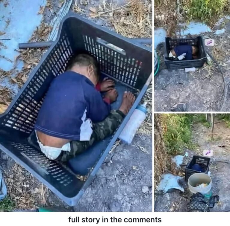 Viral Post Claims Found Bruised Toddler — Police Confirm Hoax