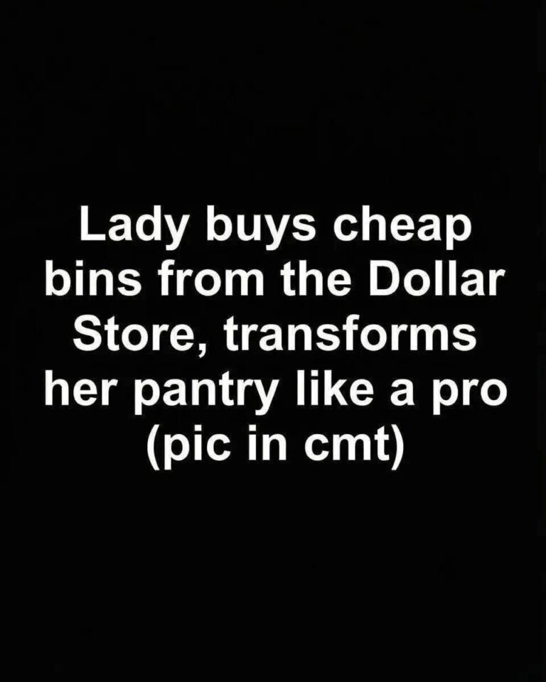 Budget-Friendly DIY Pantry Organization Using Dollar Store Bins as a Practical, Stylish, and Long-Term Solution for Creating a Calm, Efficient, and Visually Cohesive Kitchen Storage System Without High Costs or Professional Help