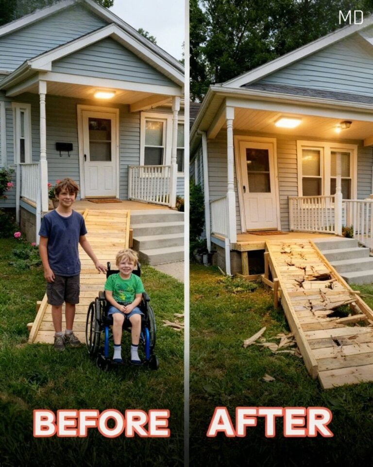 My Son Built a Ramp for a Neighbor in Need — What Happened Next Surprised Everyone