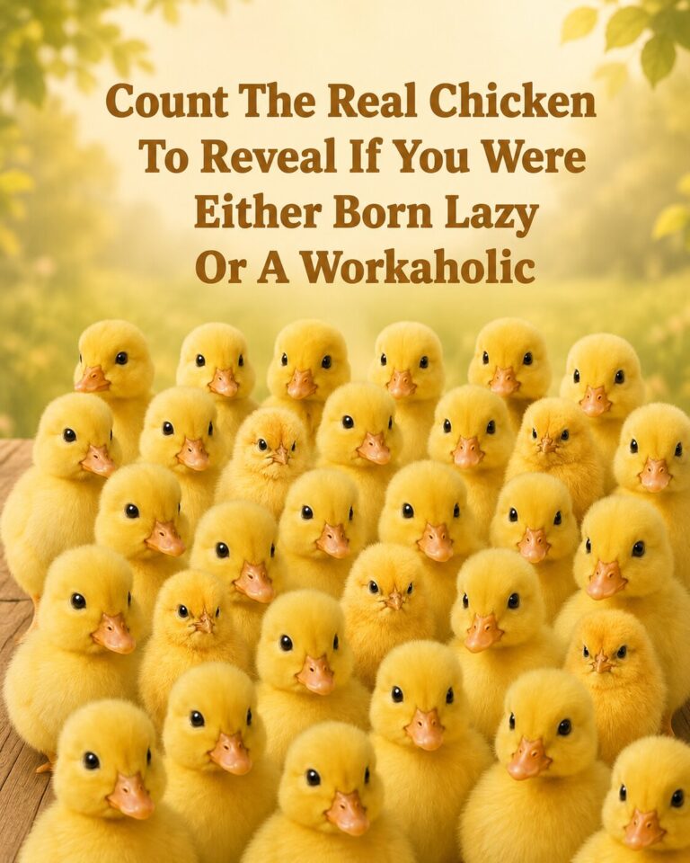 Count The Real Chicken To Reveal If You Were Either Born Lazy Or A Workaholic