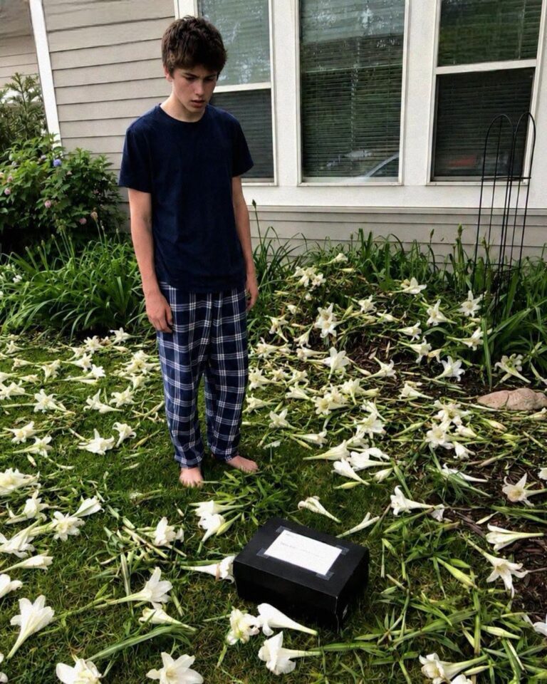My Son Planted Lilies Every Year for the Twin Sister He Lost at Birth – On Their 15th Birthday, We Found Every Flower Cut Down and a Black Box in the Middle
