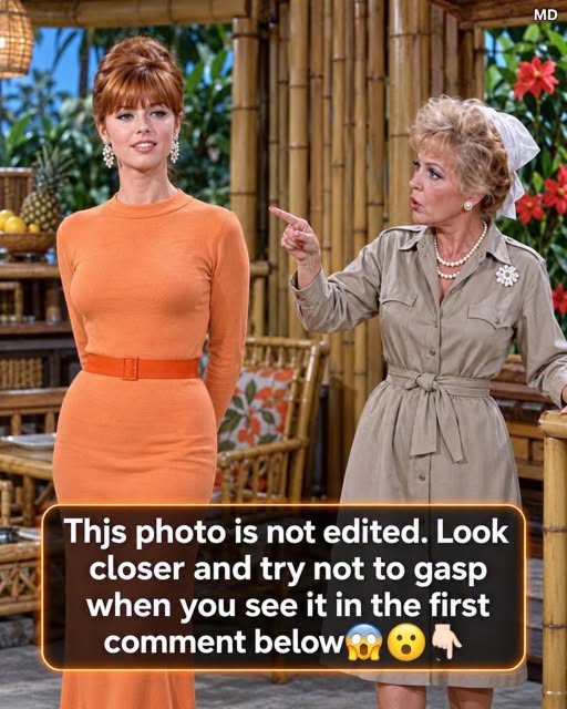 Gilligan’s Island Hid Some Surprising Filming Secrets  Details Most Viewers Never Noticed
